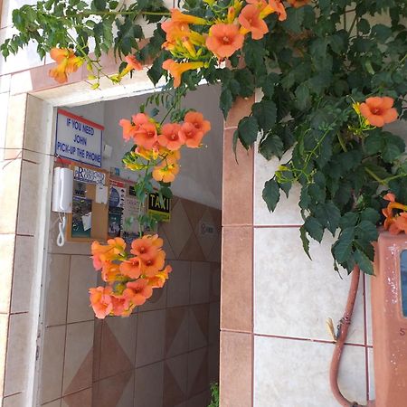 Ladikos Beach Hotel Kardamena  Zewnętrze zdjęcie