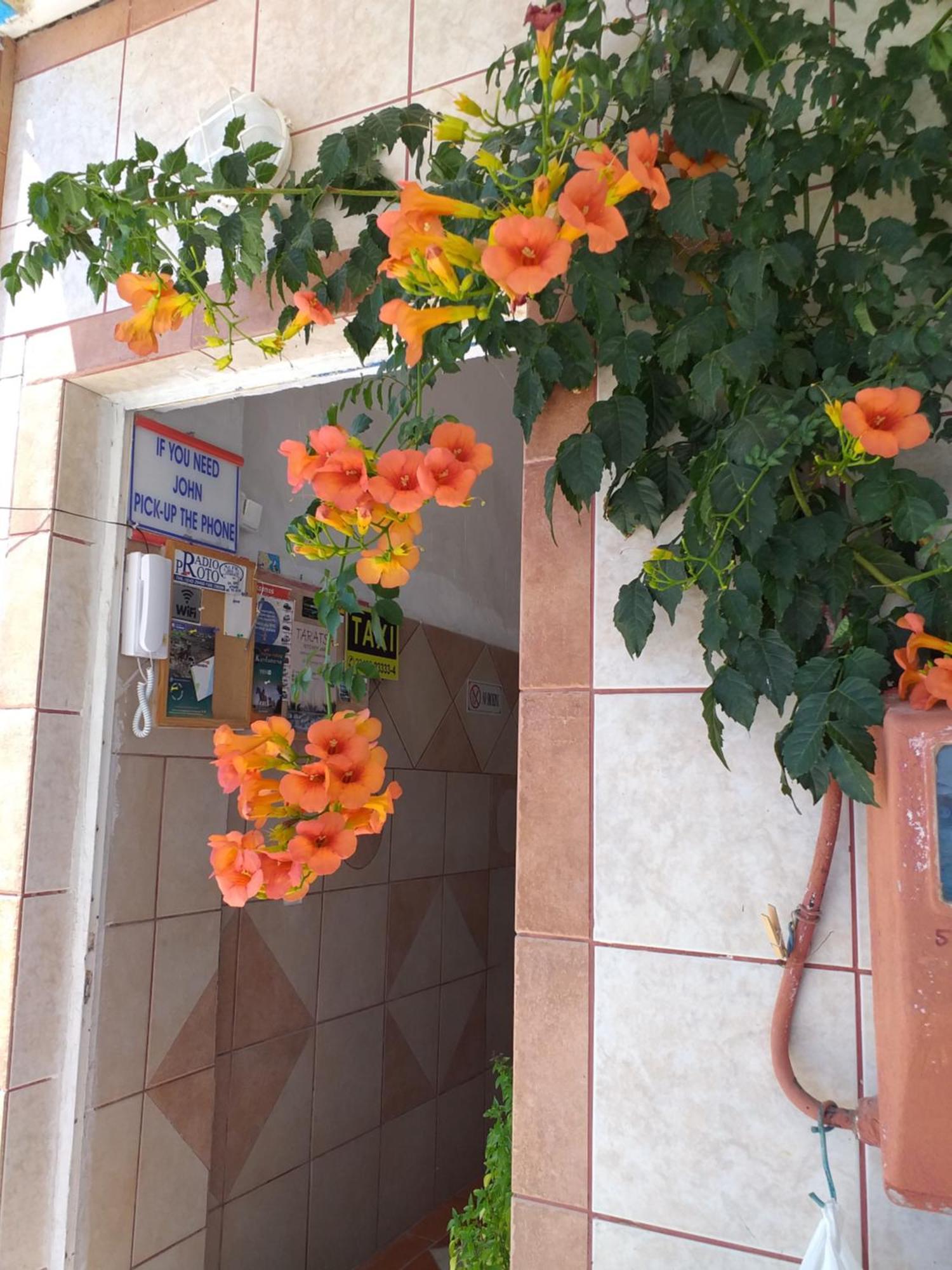 Ladikos Beach Hotel Kardamena  Zewnętrze zdjęcie